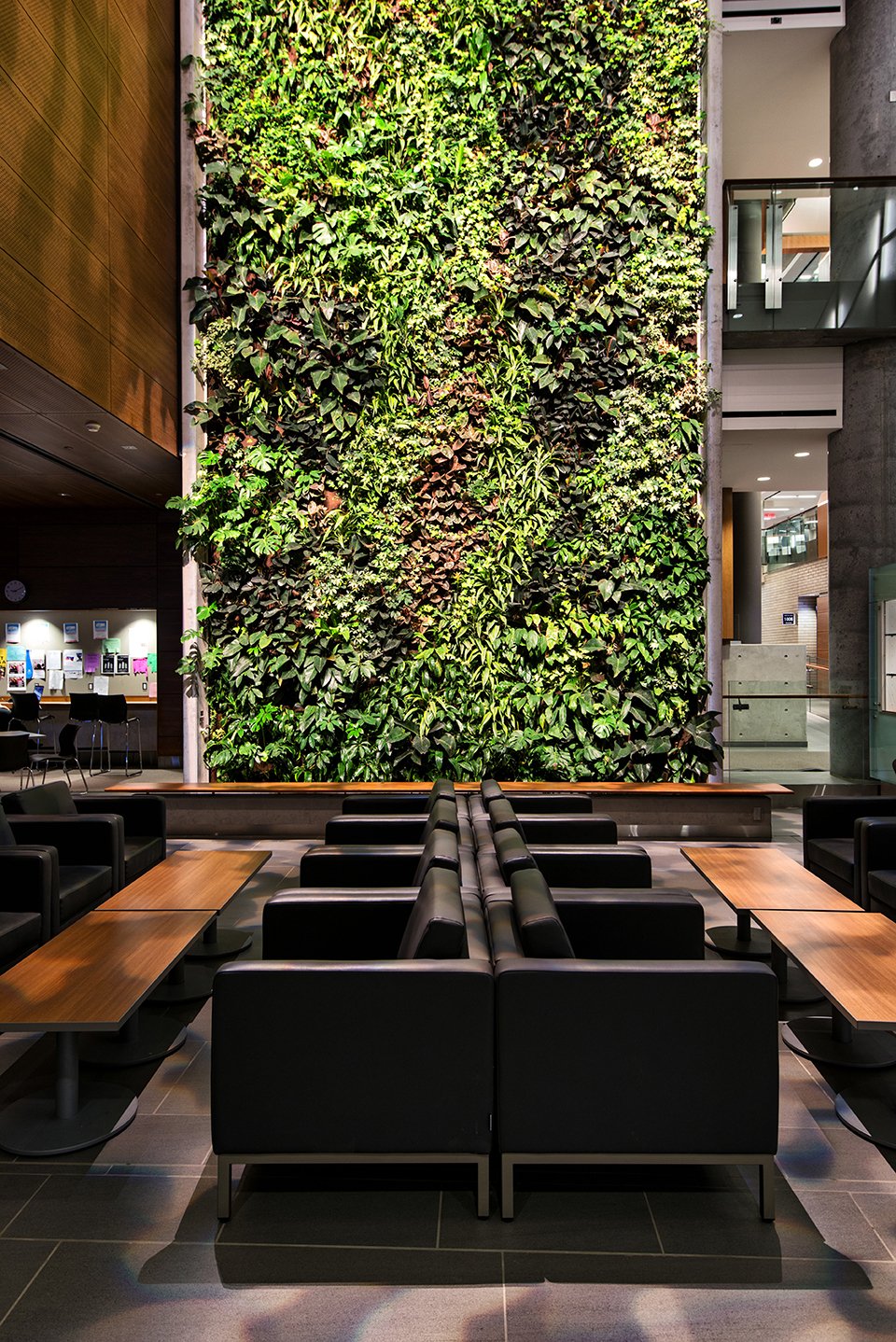 architecture photography: Faculty of Social Sciences Building at the University of Ottawa